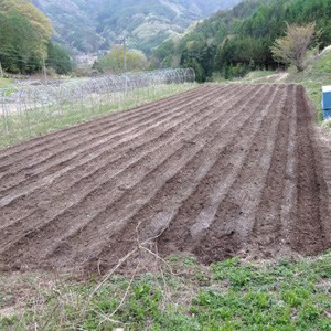 まずは土づくり！